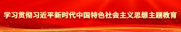 我爱操逼视频学习贯彻习近平新时代中国特色社会主义思想主题教育